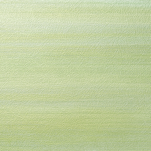 C25-2165