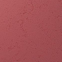 Y25-2904