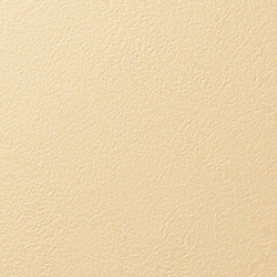 Y25-2905