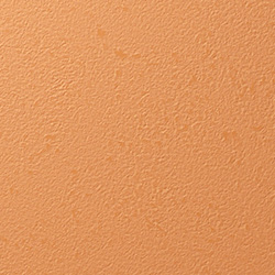 Y25-2907