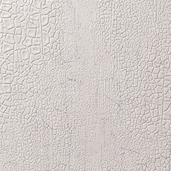 C25-2116