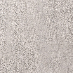 C25-2117