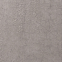 C25-2118