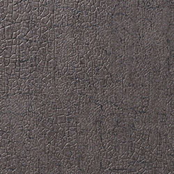 C25-2119