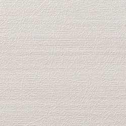 C25-2161