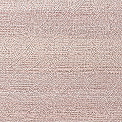 C25-2163