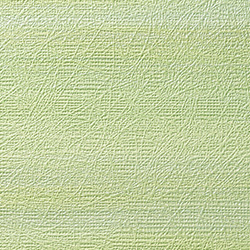 C25-2165