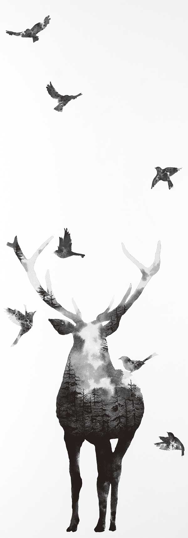 Deer