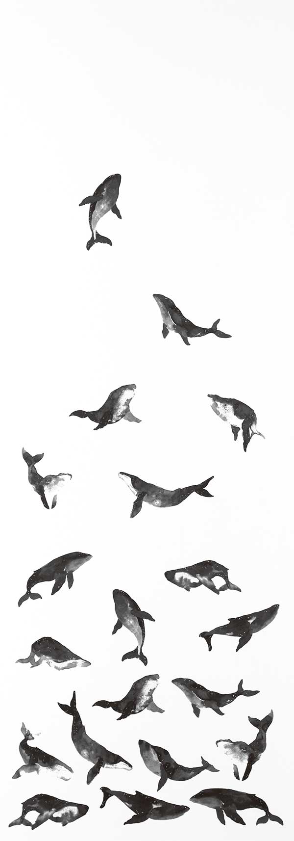 Whale