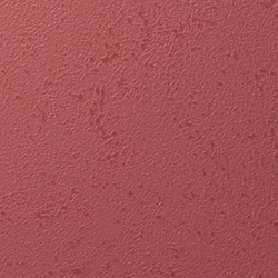 Y25-2904