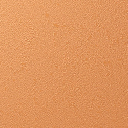 Y25-2907