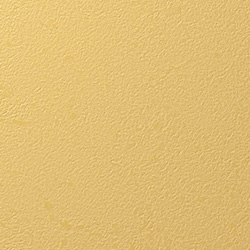 Y25-2910