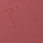Y25-2904