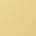 Y25-2909
