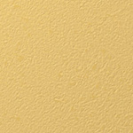 Y25-2910