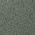Y25-2917
