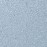 Y25-2919