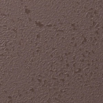 Y25-2934