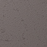 Y25-2935
